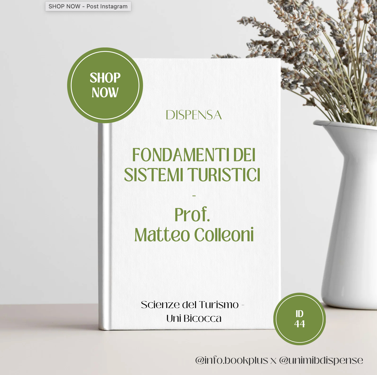 Appunti Fondamenti dei sistemi turistici - Prof. Matteo Colleoni
