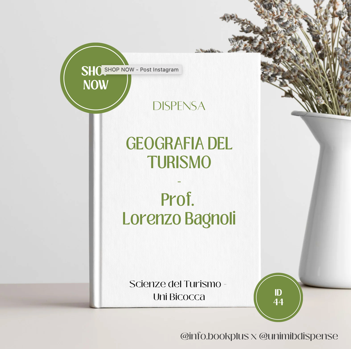 Appunti Geografia del turismo - Prof. Lorenzo Bagnoli
