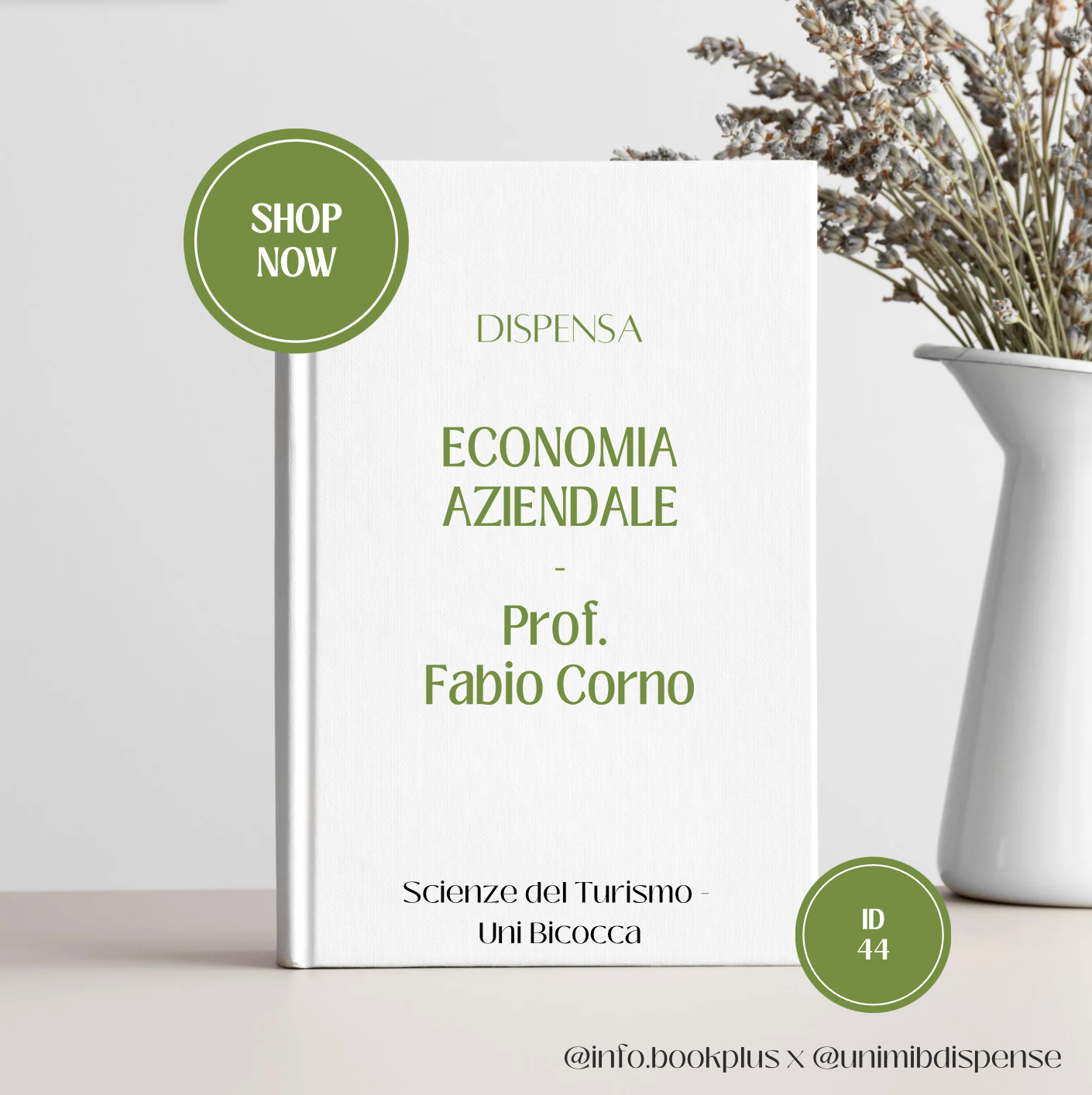 Appunti Economia aziendale - Prof. Fabio Corno