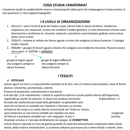 Appunti Anatomia - Prof. Borsello