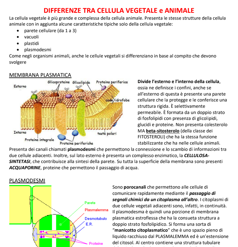 Appunti Biologia Vegetale - Prof. Pinna