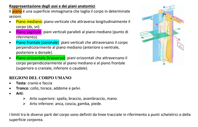 Appunti Scienze Biomediche 1- modulo di Anatomia - Prof. Mariarosaria Miloso