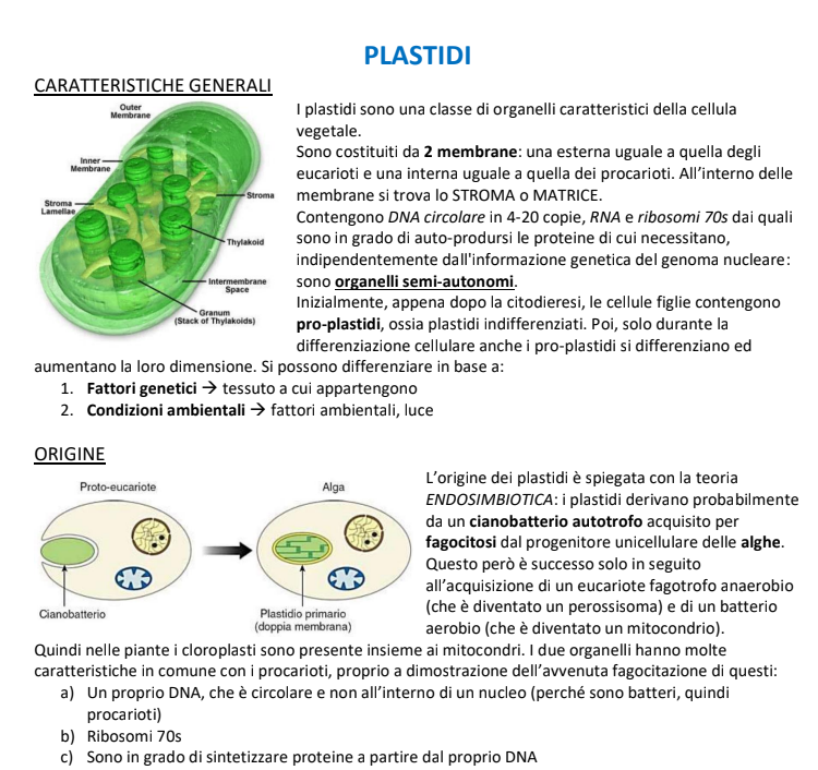 Appunti Biologia Vegetale - Prof. Pinna